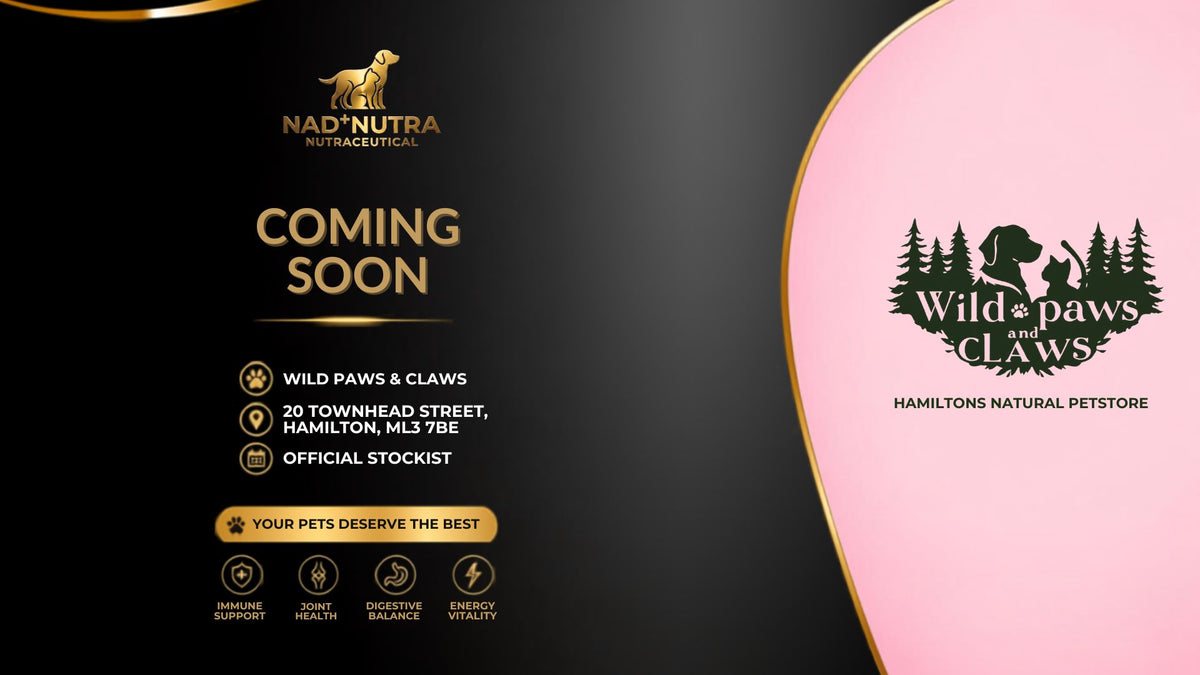 NEW: Wild Paws & Claws is the First Official Stockist of NAD+Nutra! - Nad+Nutra
