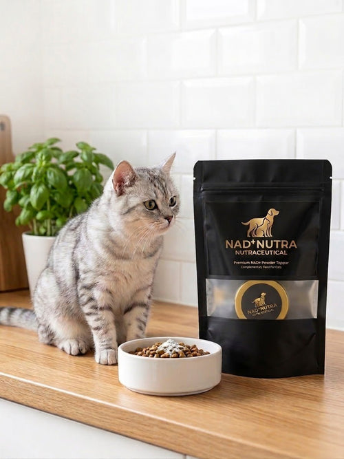 NAD+ Nutra for Cats 600mg | Cellular Health & Vitality Supplement - Nad+Nutra